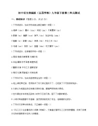 初中 语文  统编版五四学制 九年级下册 第三单元 测试及深度剖析