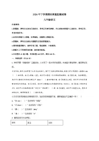 湖南省长沙市雨花区2025届九年级上学期期末考试语文试卷 [附答案]