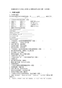 人教部编版（2024）九年级上册醉翁亭记练习