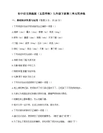 初中 语文 统编版五四学制 九年级下册 第三单元 同步练及深度剖析