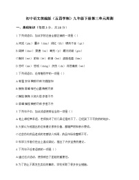 初中 语文 统编版五四学制 九年级下册 第三单元 周测及全面解析