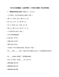 初中 语文 统编版五四学制 六年级下册 第三单元 同步练及全面解读