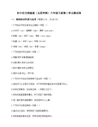 初中 语文 统编版五四学制 六年级下册 第三单元 测试卷及分析