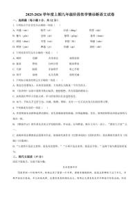2025-2026学年四川省南充市南部县第二中学九年级上学期期中语文试题（有答案）