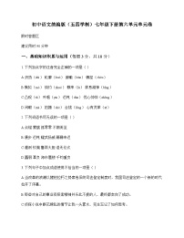 初中 语文  统编版五四学制 七年级下册 第六单元 单元卷及深度解析