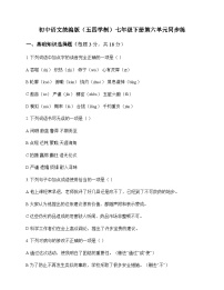 初中 语文  统编版五四学制 七年级下册 第六单元 同步练及答案