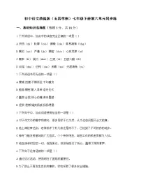 初中 语文 统编版五四学制 七年级下册 第六单元 同步练及全面解读