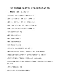 初中 语文  统编版五四学制 七年级下册 第六单元 同步练及深度解析
