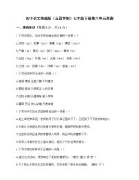 初中 语文  统编版五四学制 七年级下册 第六单元 周测及深度剖析