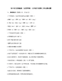 初中 语文 统编版五四学制 七年级下册 第三单元 测试题及深度解析