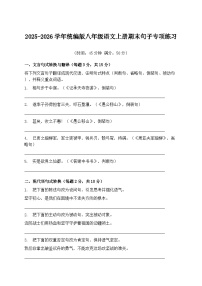 2025-2026学年统编版八年级语文上册期末句子专项练习