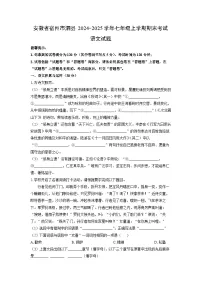 2024-2025学年安徽省宿州市泗县七年级上学期期末考试语文试卷（学生版）