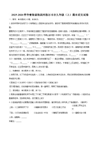 2025-2026学年青海省海西州格尔木市九年级（上）期末语文试卷-自定义类型
