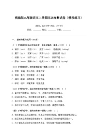 统编版九年级语文上册期末达标测试卷（模拟练习）
