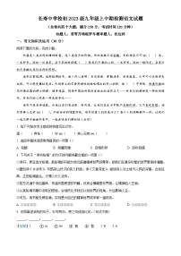 重庆市长寿中学校2025-2026学年九年级上学期期中语文试题（含答案）（含解析）