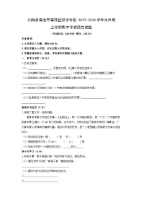 2025-2026学年云南省临沧市临翔区部分学校九年级上学期期中考试语文试卷（学生版）