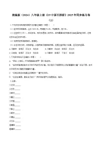 人教部编版（2024）八年级上册（2024）19 中国石拱桥/茅以昇巩固练习