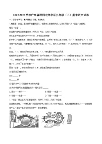 2025-2026学年广东省深圳市龙华区九年级（上）期末语文试卷-自定义类型