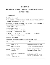 江苏省扬州市树人集团2025_2026学年九年级上学期12月月考语文试题（文字版含答案）