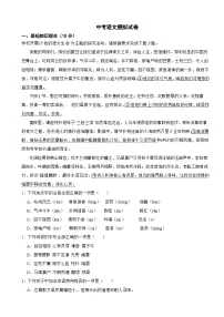 甘肃省武威市凉州区2026年中考语文模拟试卷附答案