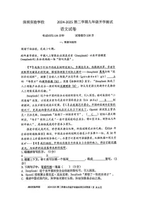 广东省深圳市深圳实验学校等校联考2024-2025学年九年级下学期开学语文试题