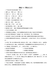语文青春之光课时训练