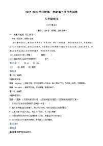 河南省周口市项城市多校2025-2026学年八年级上学期12月月考语文试题（含答案）（含解析）