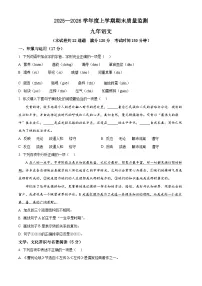 辽宁省沈阳市铁西区2025-2026学年九年级上学期期末语文试题（试卷+解析）