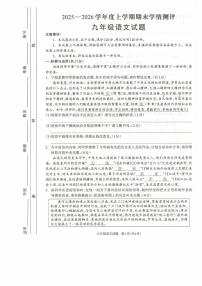 河南省驻马店市平舆县2026届九年级上学期2月期末学情测评语文试卷（含答案）