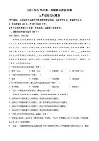新疆喀什地区2025-2026学年九年级上学期期末语文试卷（试卷+解析）