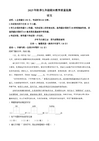 四川省广元市2025-2026学年九年级上学期期末语文试题（含答案）（含解析）