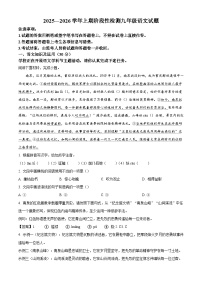 重庆市巴南区2025-2026学年九年级上学期期末语文试题（含答案）（含解析）