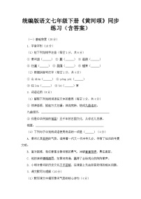 初中语文人教部编版（2024）七年级下册黄河颂同步练习题