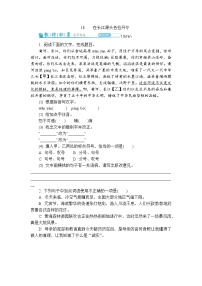 人教部编版（2024）第五单元阅读18 在长江源头各拉丹冬课时作业