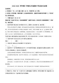 精品解析：河南省漯河市实验中学2024-2025学年七年级下学期期中语文试题