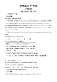 精品解析：湖南省娄底市2024-2025学年九年级下学期期中语文试题