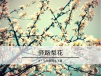 人教部编版七年级下册14 驿路梨花评优课课件ppt