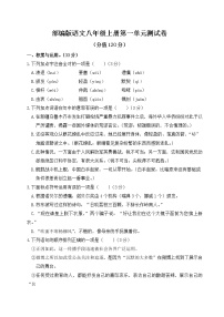 初中语文人教部编版八年级上册0单元测试随堂练习题