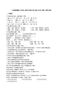 初中语文人教部编版七年级上册16 猫当堂检测题