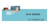 人教部编版八年级上册8* 美丽的颜色一等奖习题ppt课件