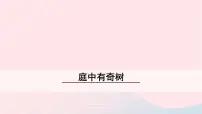 初中语文庭中有奇树完美版课件ppt