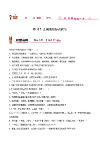 练习2 正确使用标点符号-2020-2021学年【补习教材·寒假作业】九年级语文（部编版）