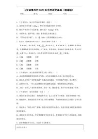 山东省青岛市2020年中考语文真题含解析