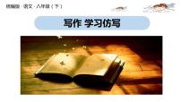 初中语文人教部编版八年级下册写作 学习仿写优秀ppt课件