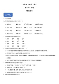 初中语文人教部编版九年级下册第二单元7* 溜索优秀课时练习