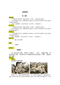 人教部编版七年级下册15 驿路梨花教案