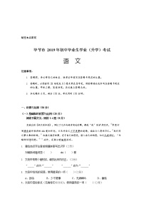 078—2019年贵州省毕节市中考语文试题及答案（word版）