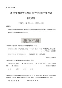 051—2019年湖北省宜昌市中考语文试题（WORD版，含答案）