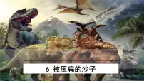 人教部编版八年级下册被压扁的沙子教课内容ppt课件