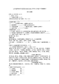 山东省菏泽市成武县2020-2021学年九年级下学期期中语文试题（word版 含答案）